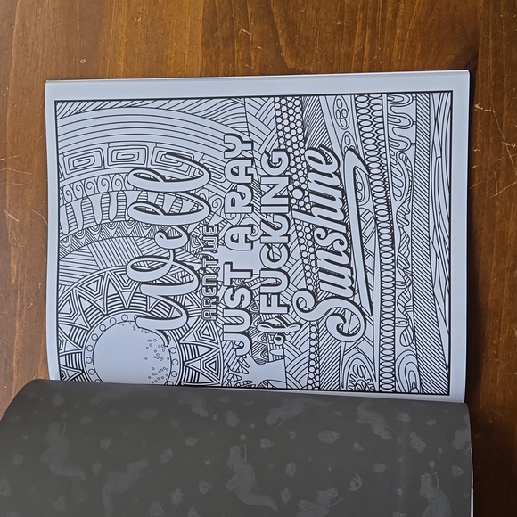 Eat A Bag of D*cks Adult Coloring Book Swear Words Adult Humor - Picture 3 of 12